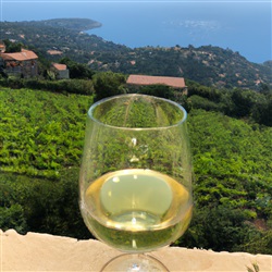 De beste plekken om te genieten van de lokale wijn en champagne aan de Côte d'Azur