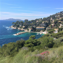De Mooiste Plekken om te Genieten van het Lokale Landschap in Côte d'Azur