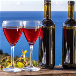 Het proeven van de heerlijke wijnen van de Côte d’Azur: Een onvergetelijke ervaring