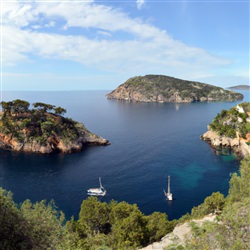 Ontdek het betoverende landschap van de Côte d’Azur: Een paradijs voor natuurliefhebbers!